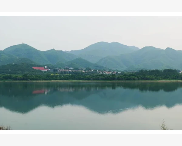 脾胃虚寒人士常吃白萝卜的健康之道